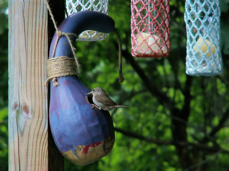 Earth-Conscious Ways to Replace and Recycle Your Cookware